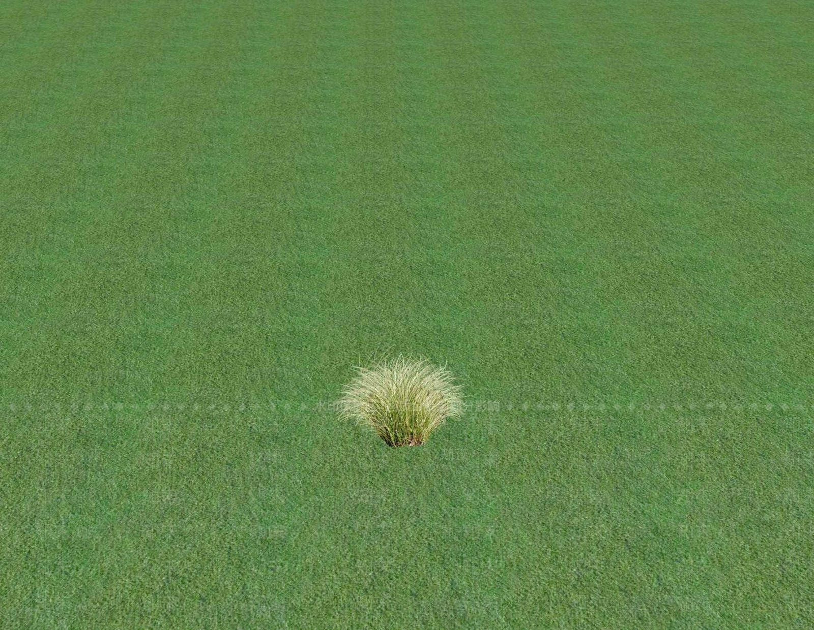 花草SU模型下载【ID:1201545943】