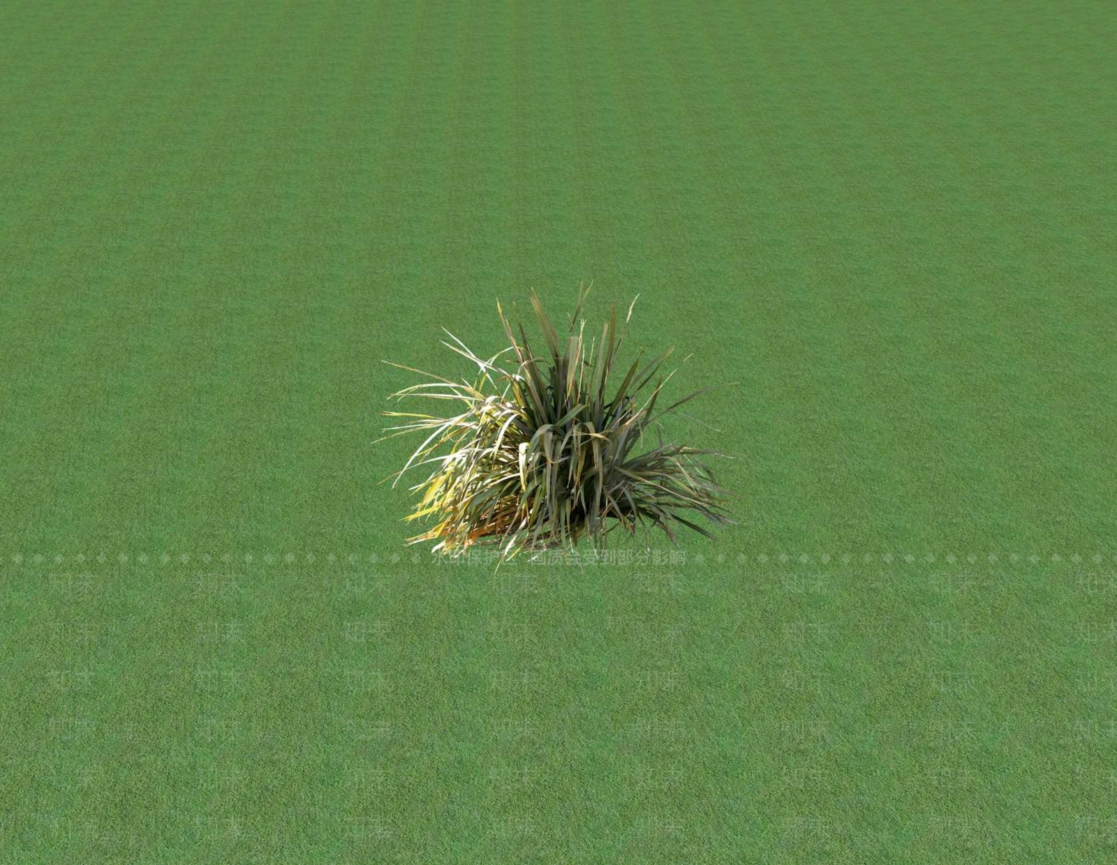 花草SU模型下载【ID:1201545938】