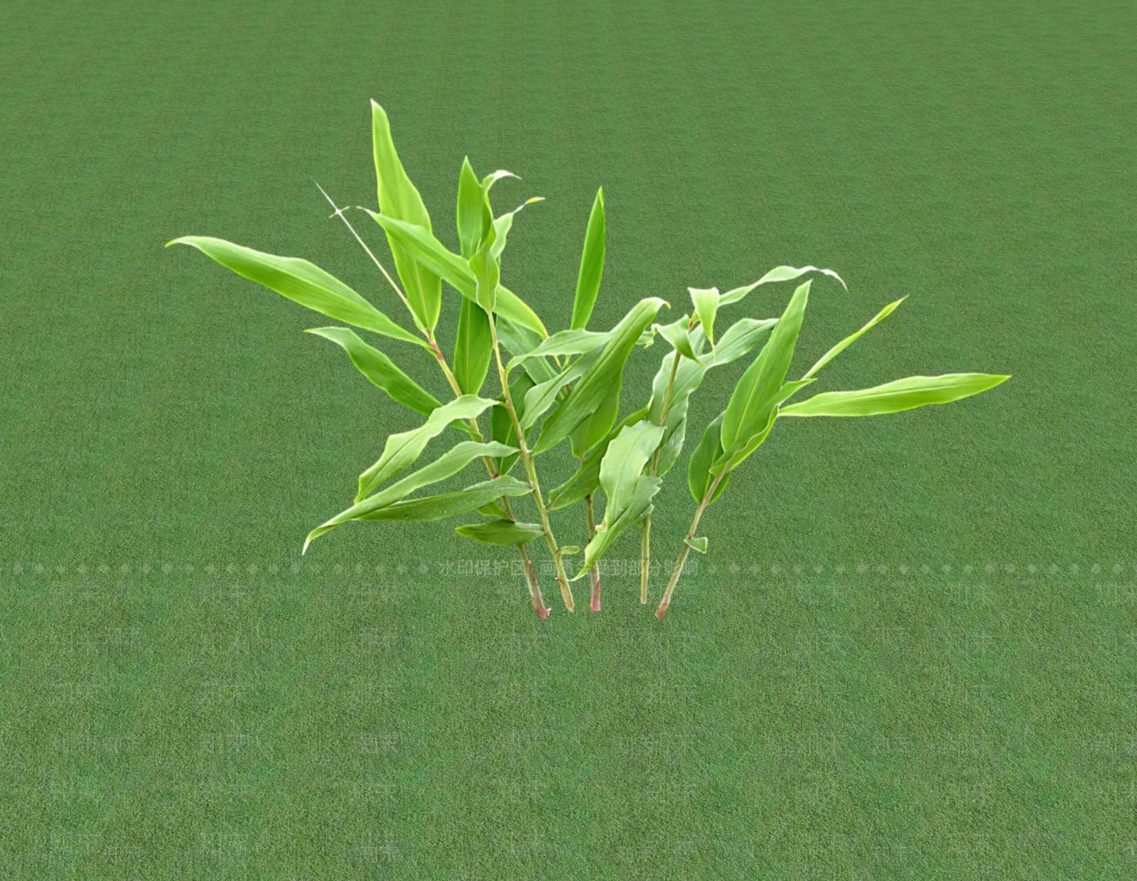花草SU模型下载【ID:1201546230】