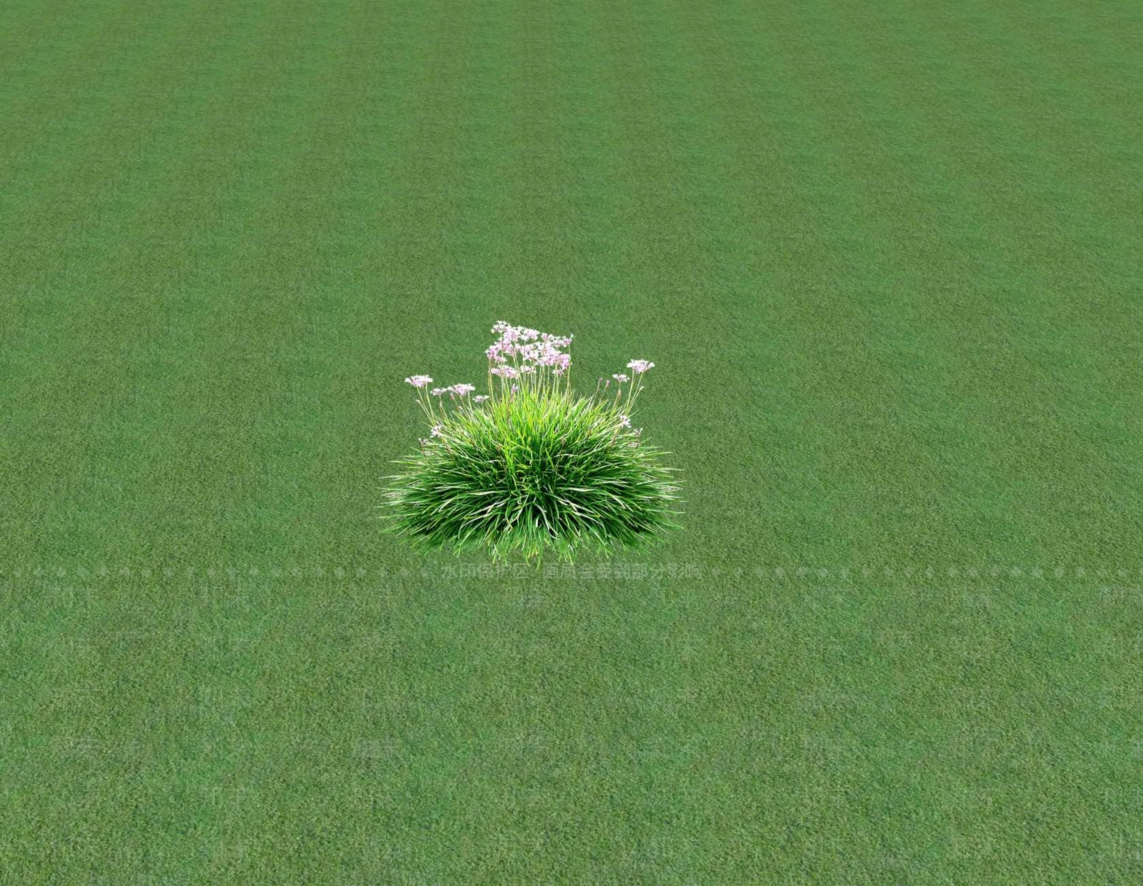 花草SU模型下载【ID:1201546535】