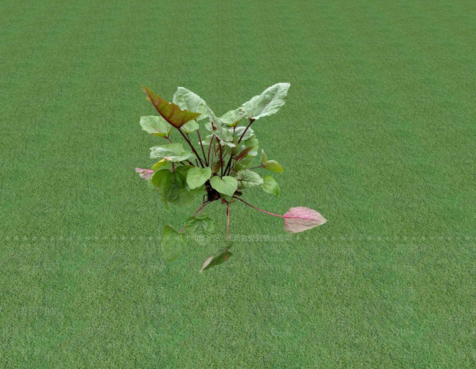 花草SU模型下载【ID:1201546795】