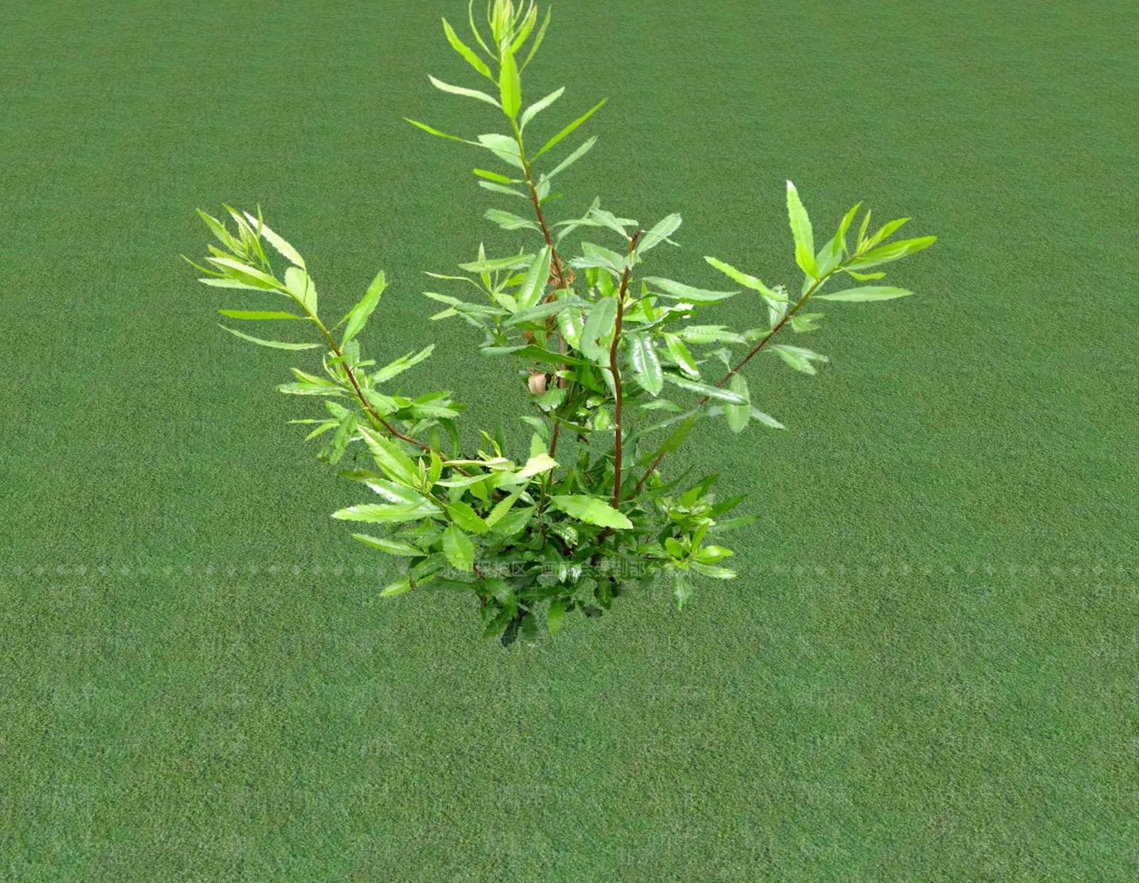 花草SU模型下载【ID:1201547092】