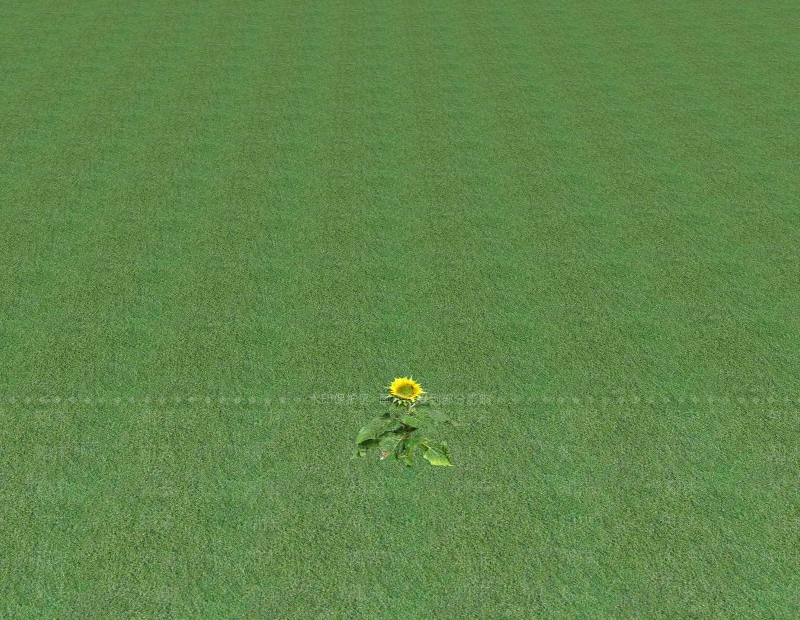花草SU模型下载【ID:1201547014】
