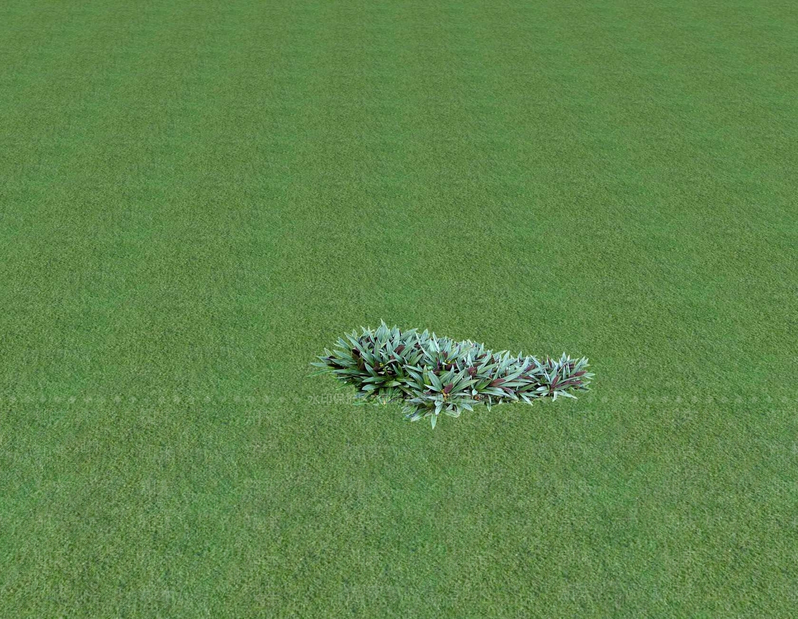 花草SU模型下载【ID:1201547173】