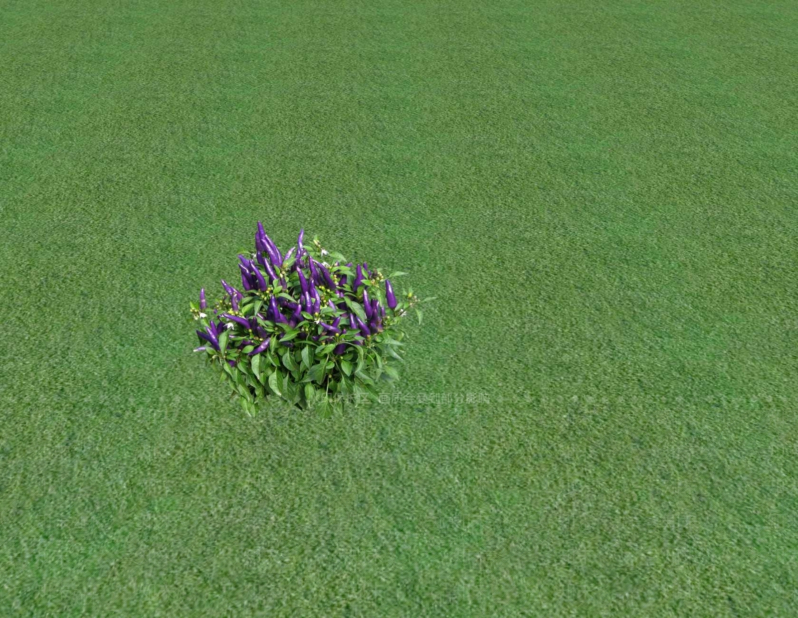 花草SU模型下载【ID:1201547215】
