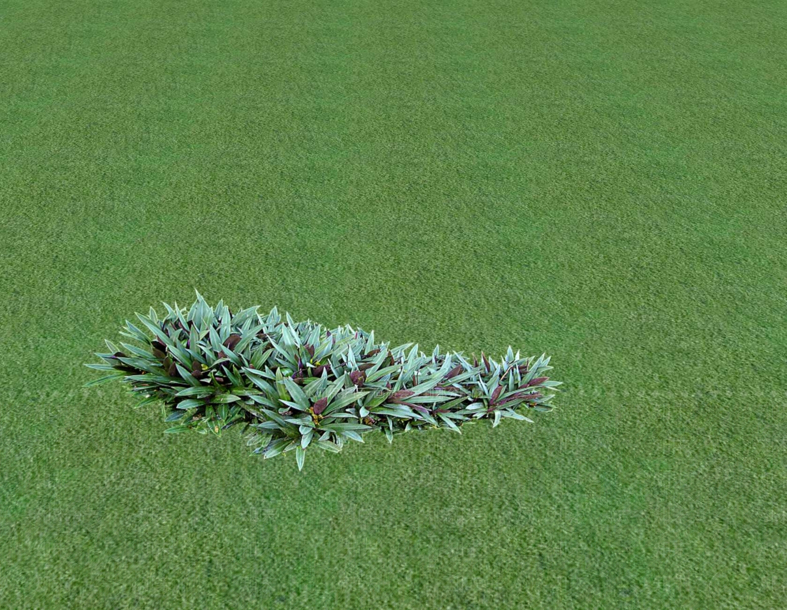 花草SU模型下载【ID:1201547326】