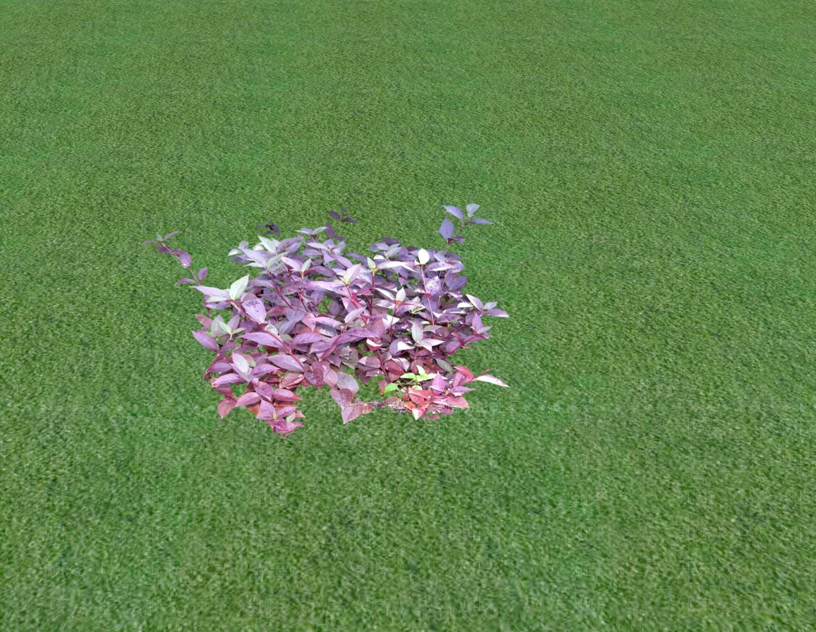 花草SU模型下载【ID:1201548088】