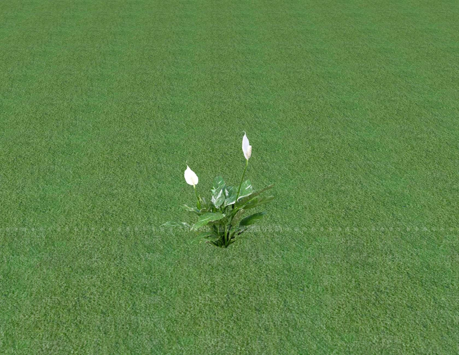 花草SU模型下载【ID:1201548178】