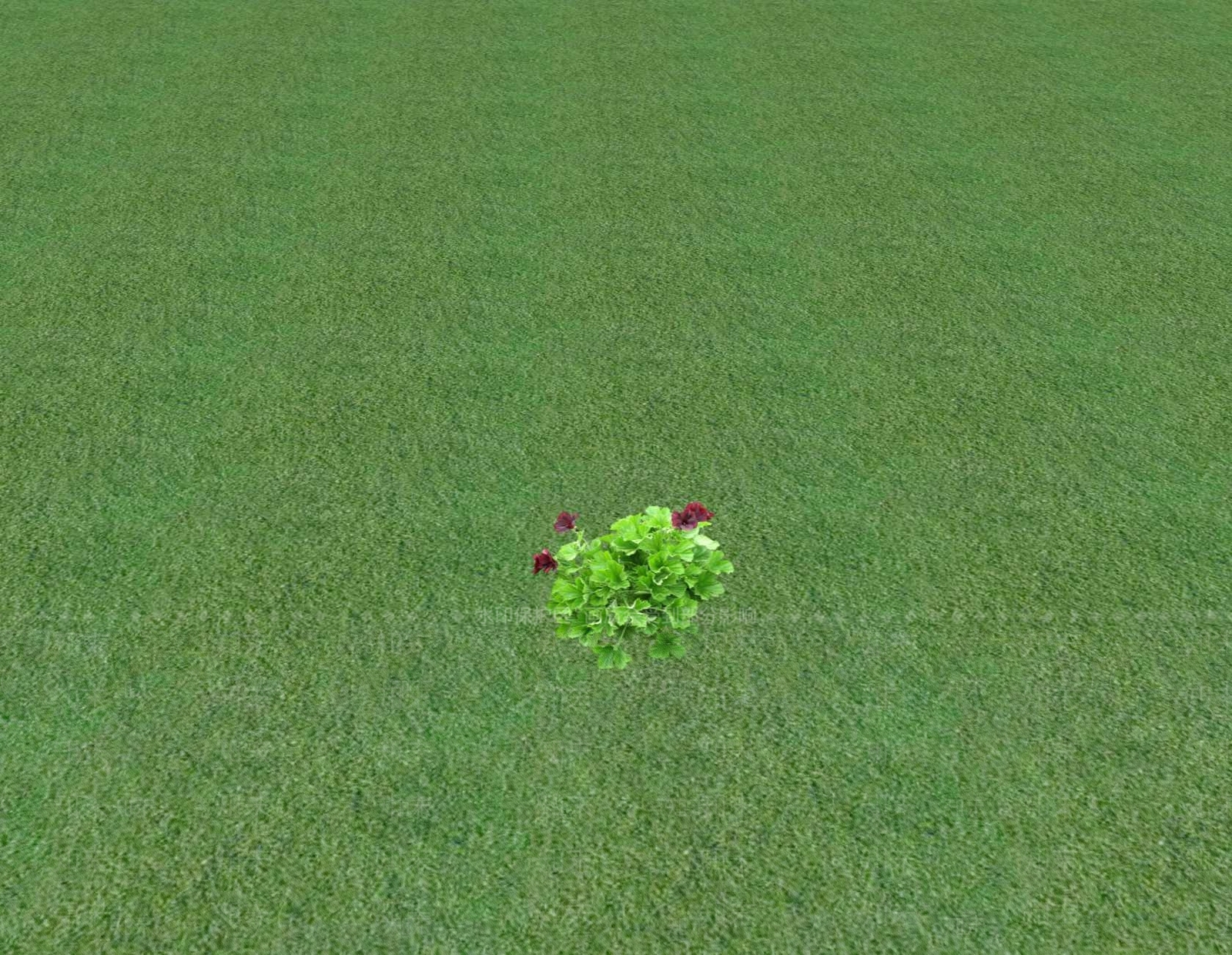 花草SU模型下载【ID:1201548229】