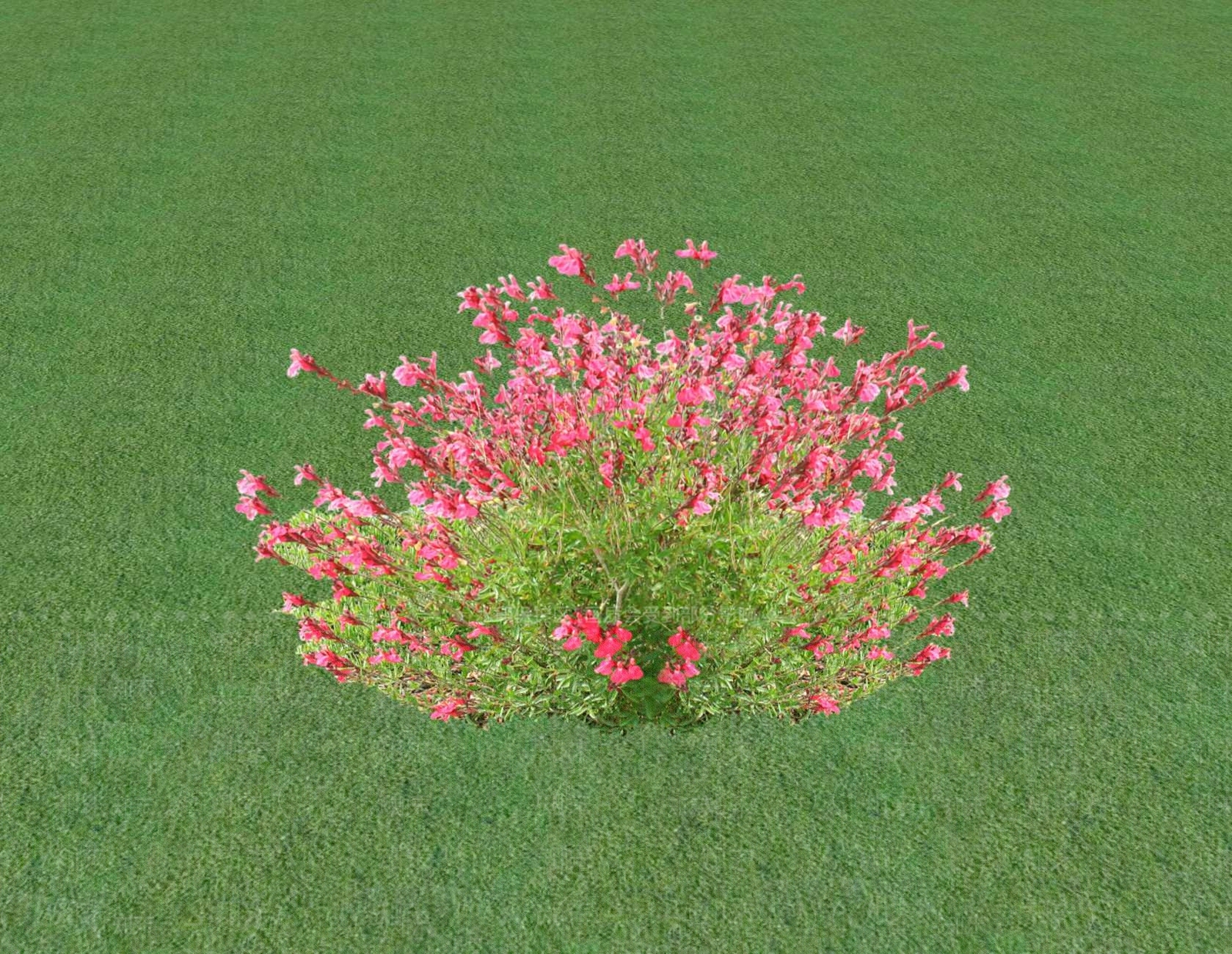 花草SU模型下载【ID:1201548361】