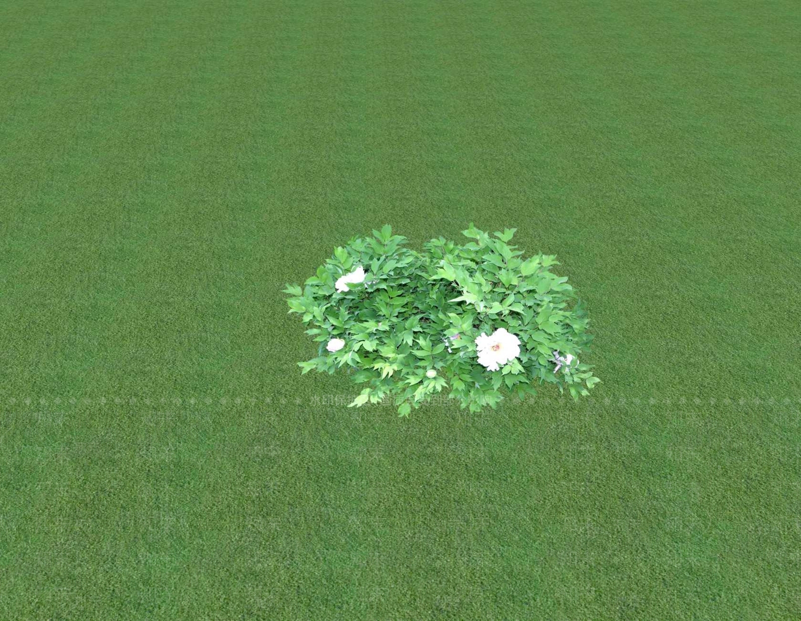 花草SU模型下载【ID:1201548444】