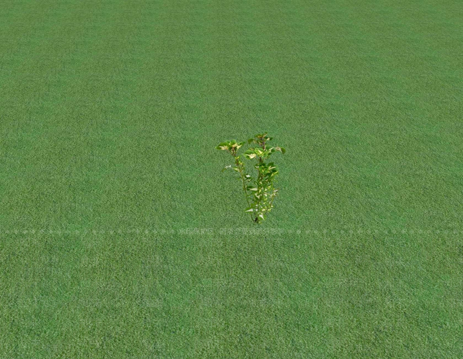 花草SU模型下载【ID:1201548588】