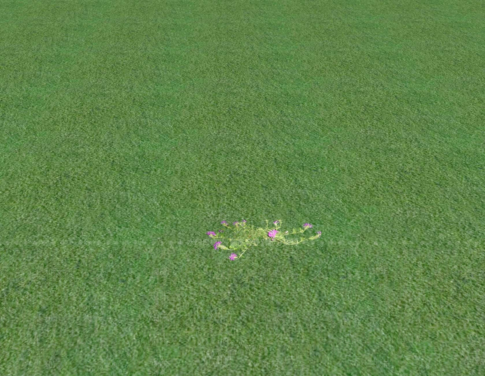 花草SU模型下载【ID:1201548680】