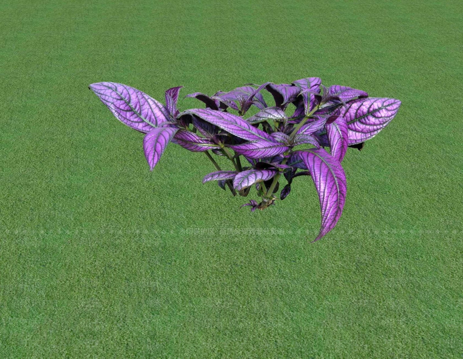 花草SU模型下载【ID:1201548786】
