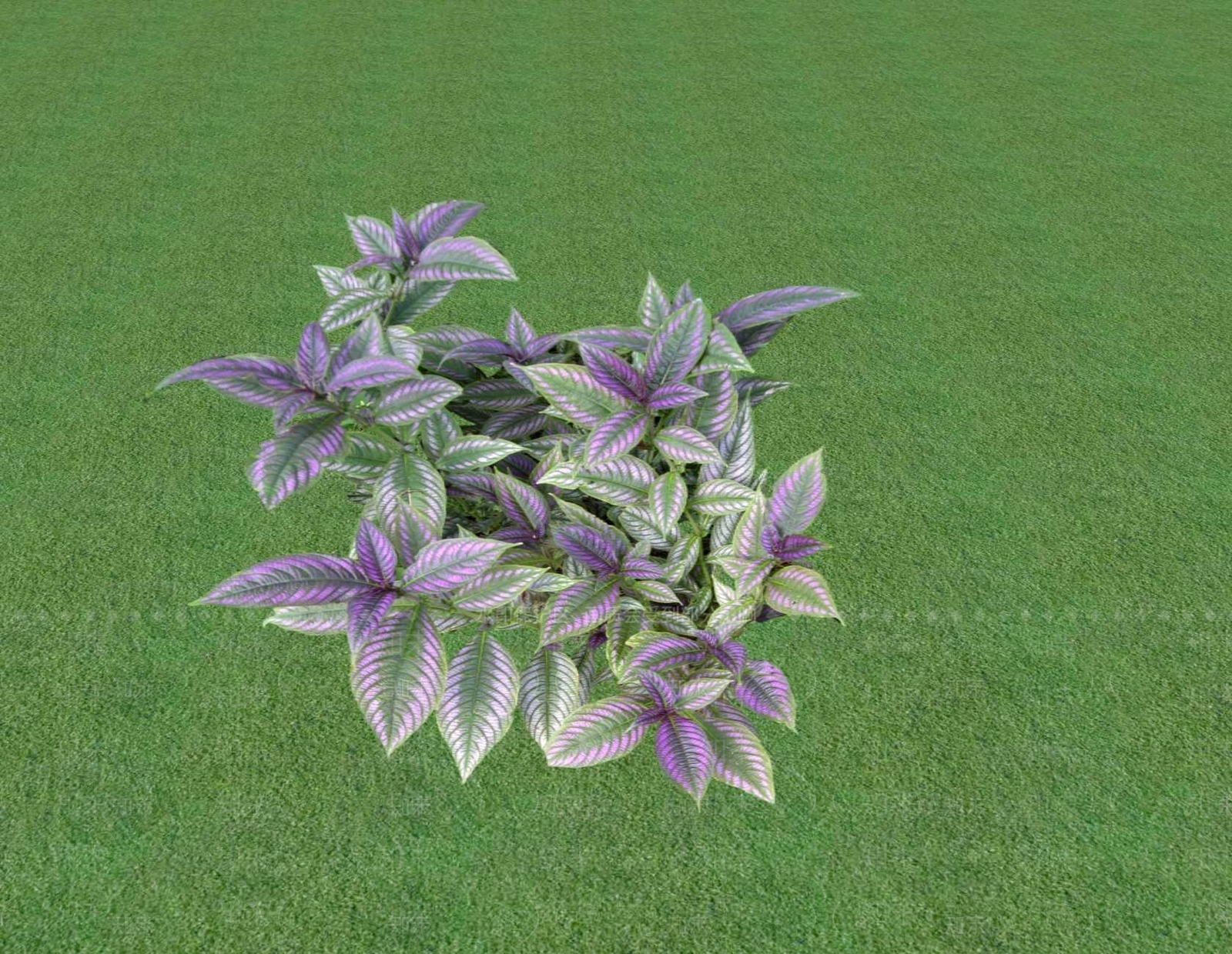 花草SU模型下载【ID:1201548799】