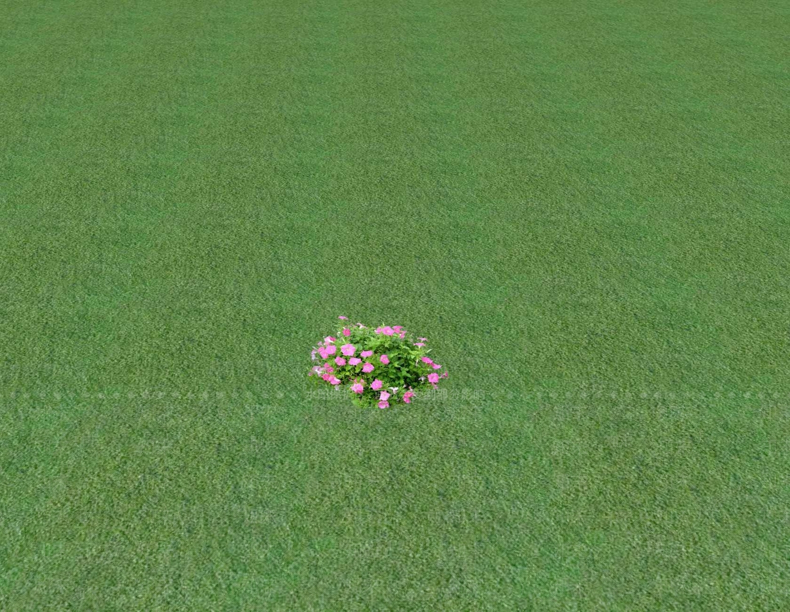 花草SU模型下载【ID:1201548818】