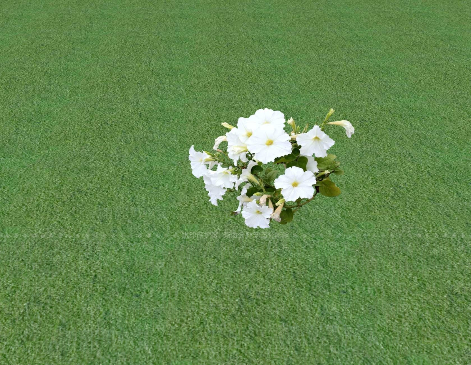花草SU模型下载【ID:1201549031】