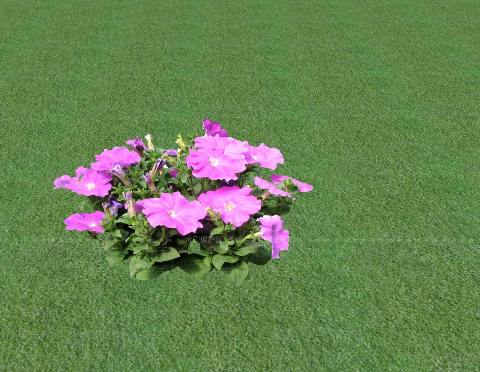 花草SU模型下载【ID:1201549005】