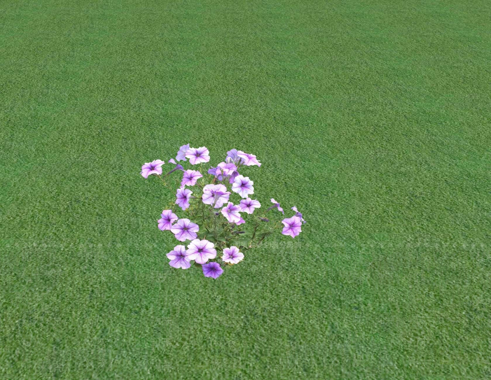 花草SU模型下载【ID:1201549028】