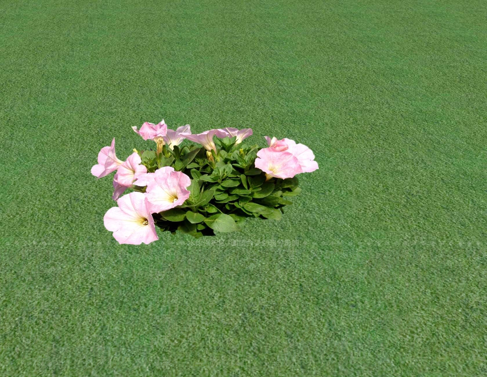 花草SU模型下载【ID:1201549138】