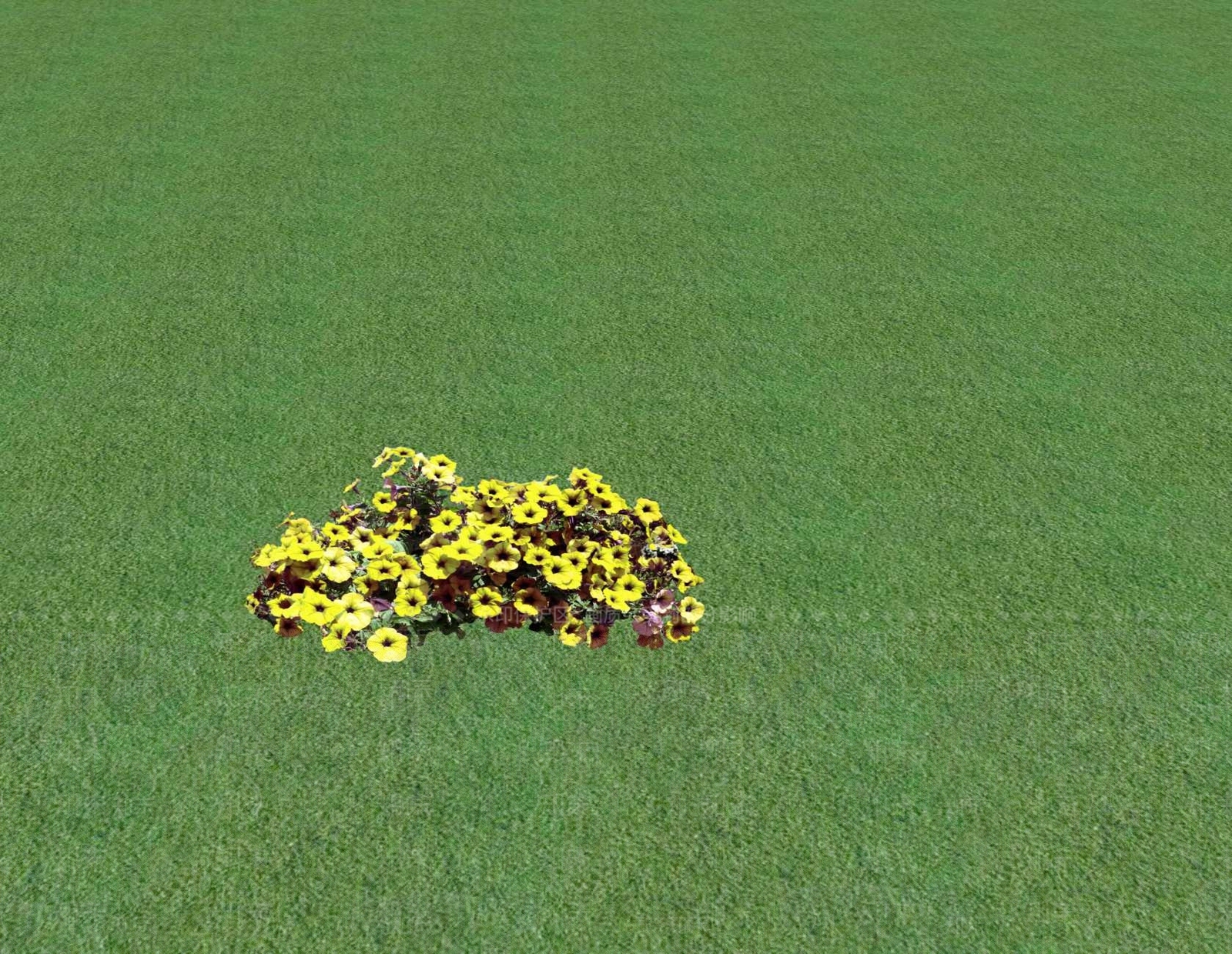 花草SU模型下载【ID:1201549231】
