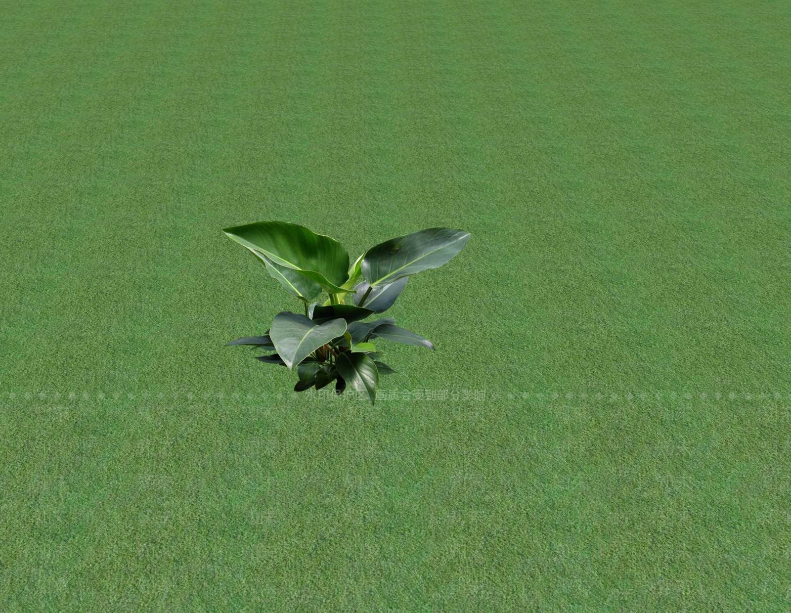 花草SU模型下载【ID:1201549381】