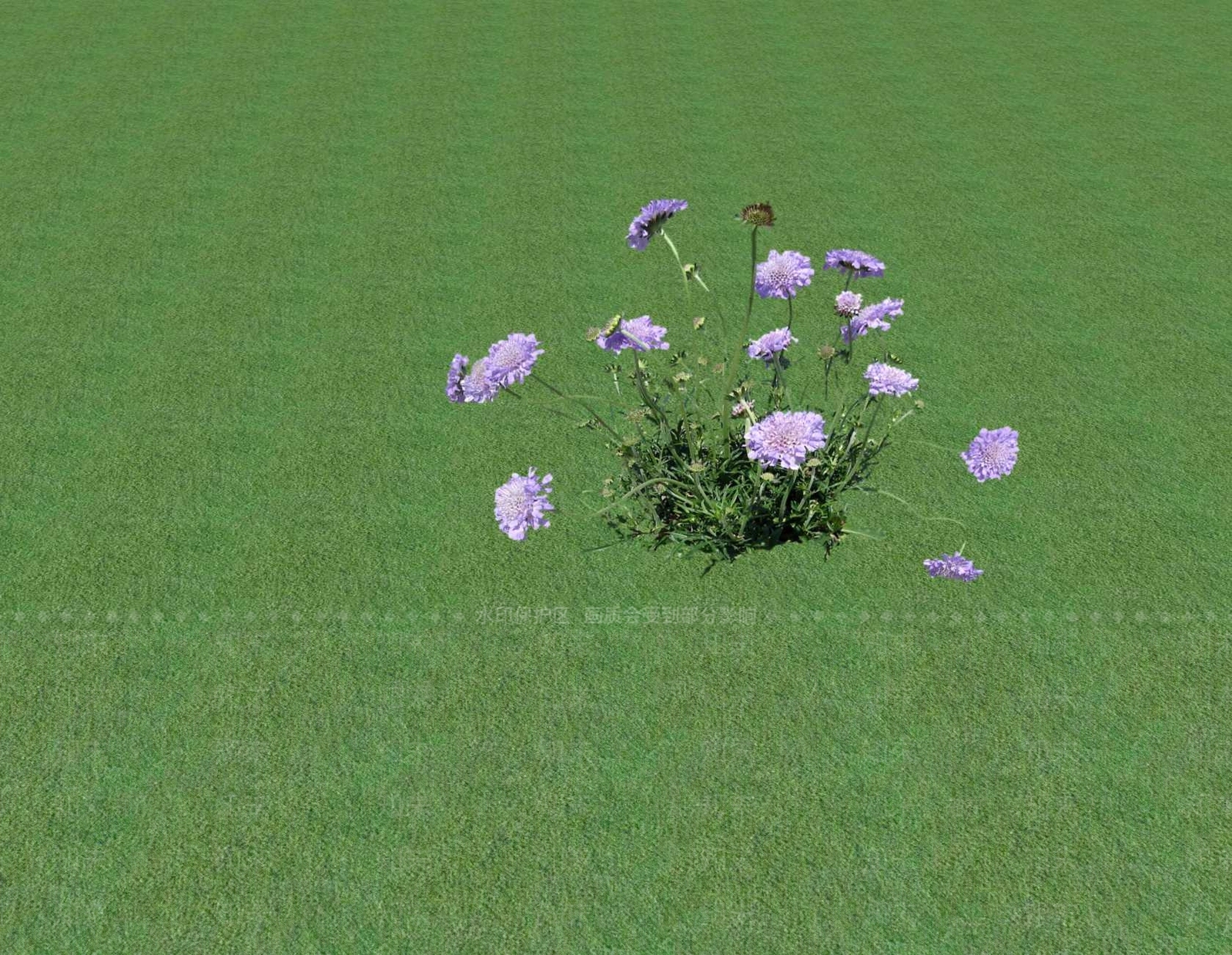 花草SU模型下载【ID:1201549450】