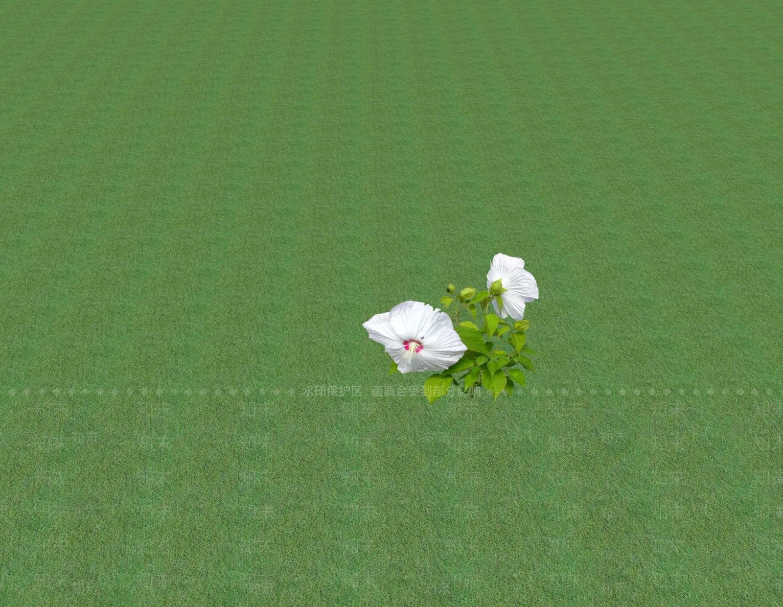 花草SU模型下载【ID:1201552710】