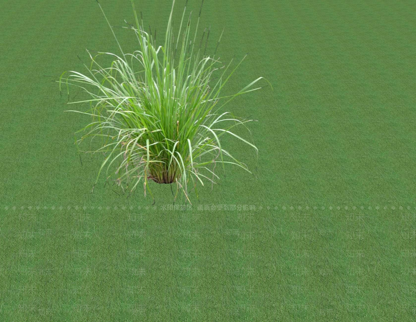 花草SU模型下载【ID:1201552775】
