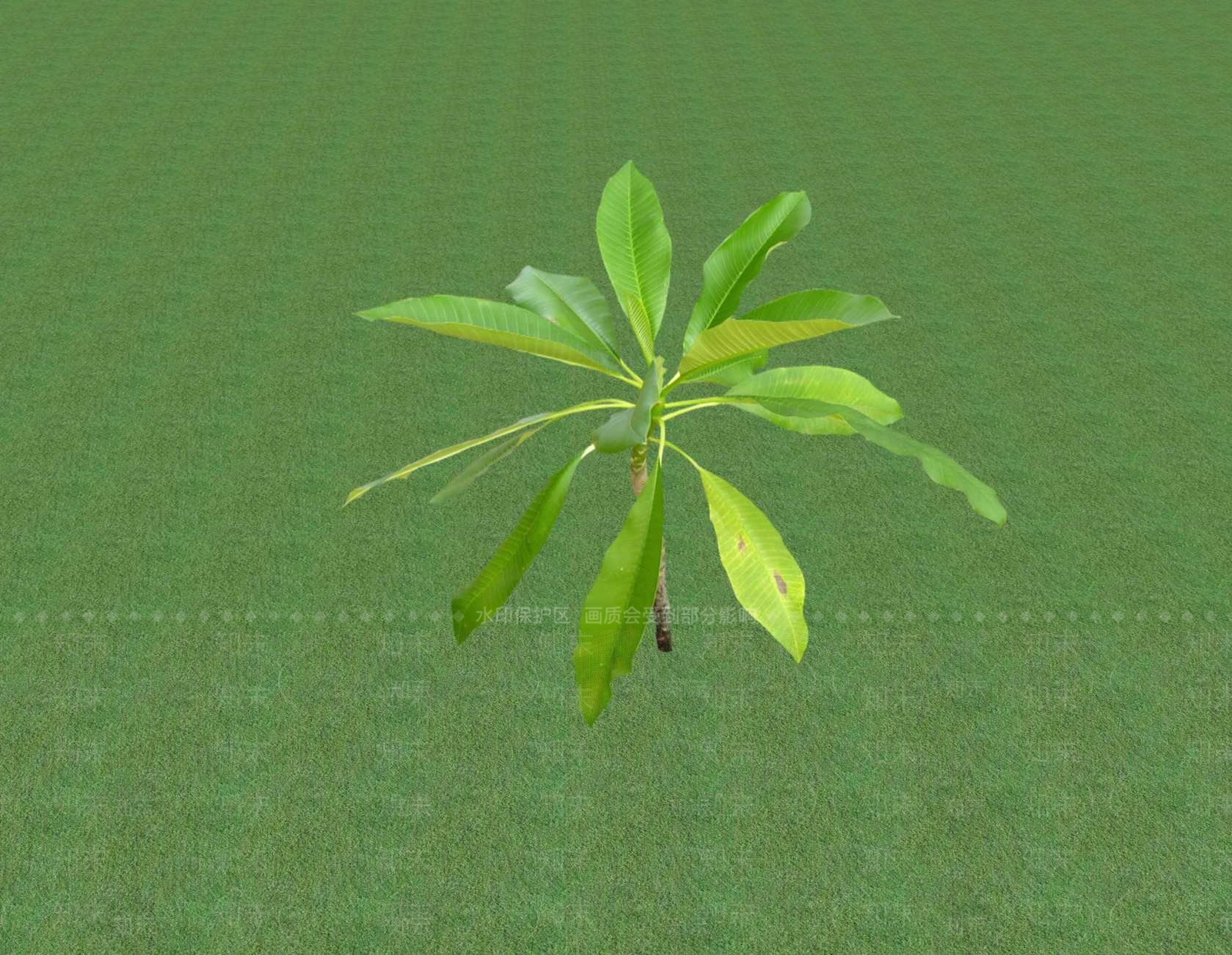 花草SU模型下载【ID:1201552718】
