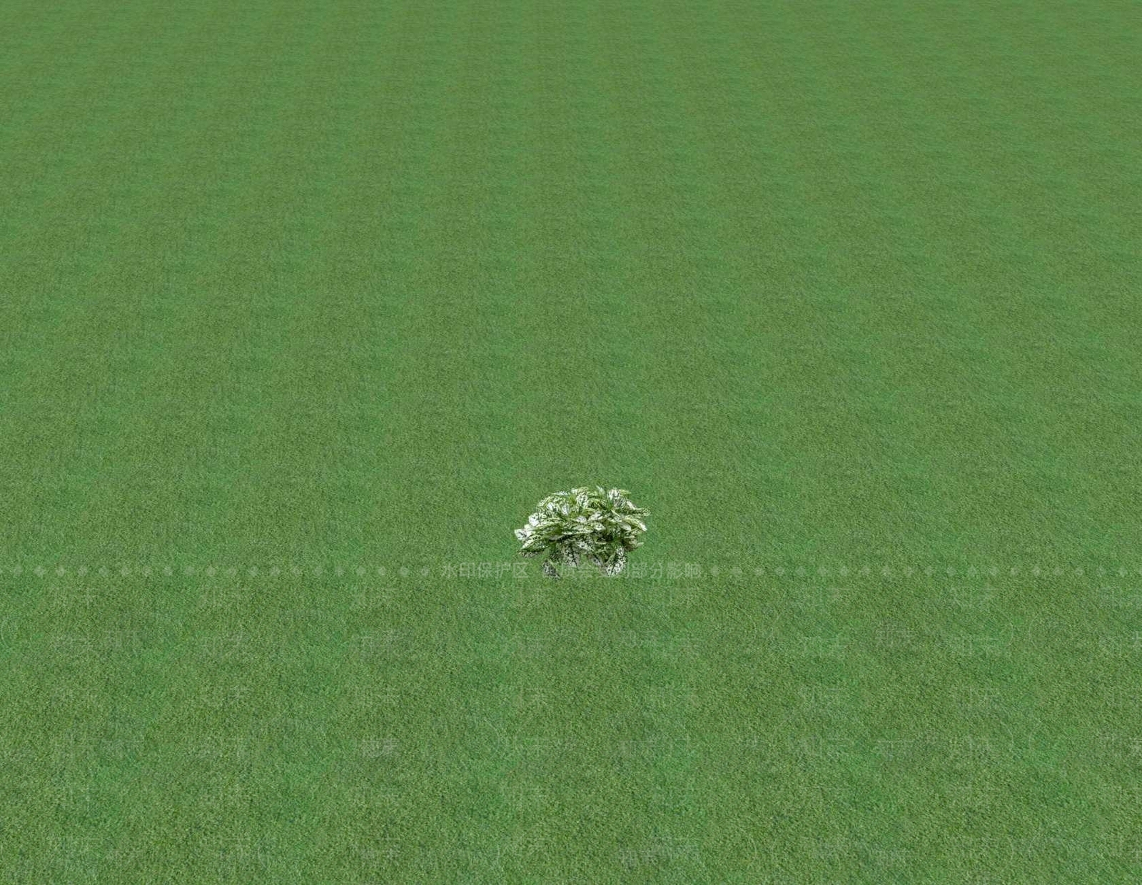 花草SU模型下载【ID:1201552739】