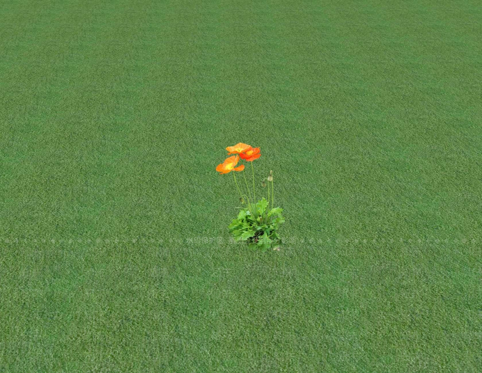 花草SU模型下载【ID:1201552821】