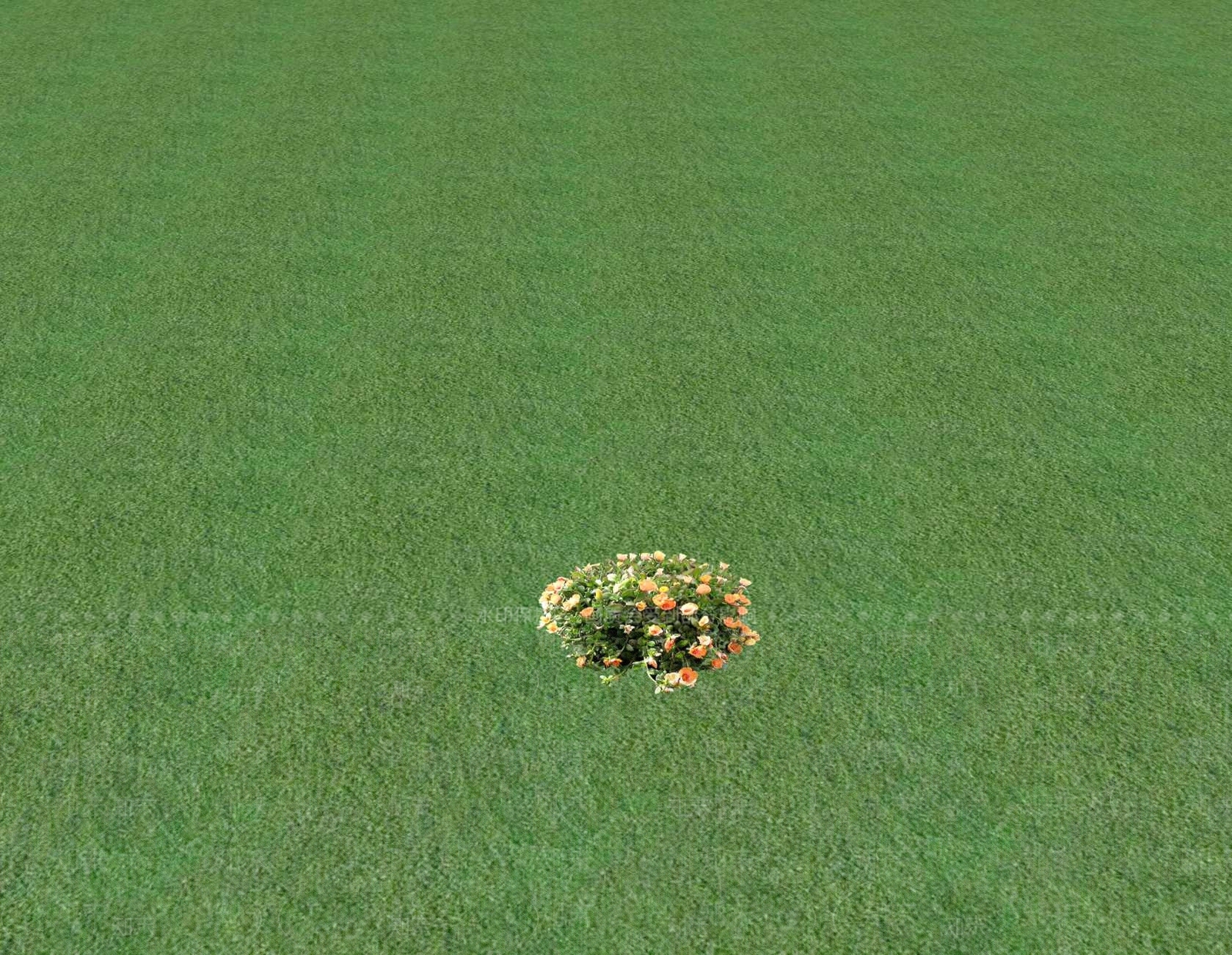 花草SU模型下载【ID:1201552885】