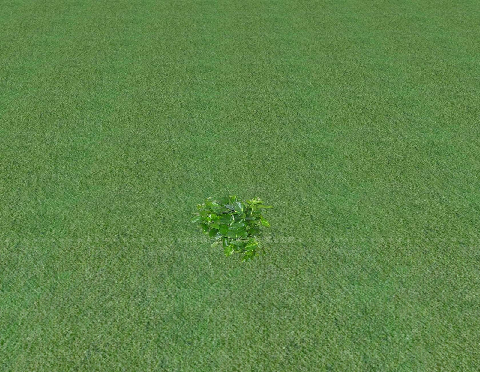 花草SU模型下载【ID:1201552940】