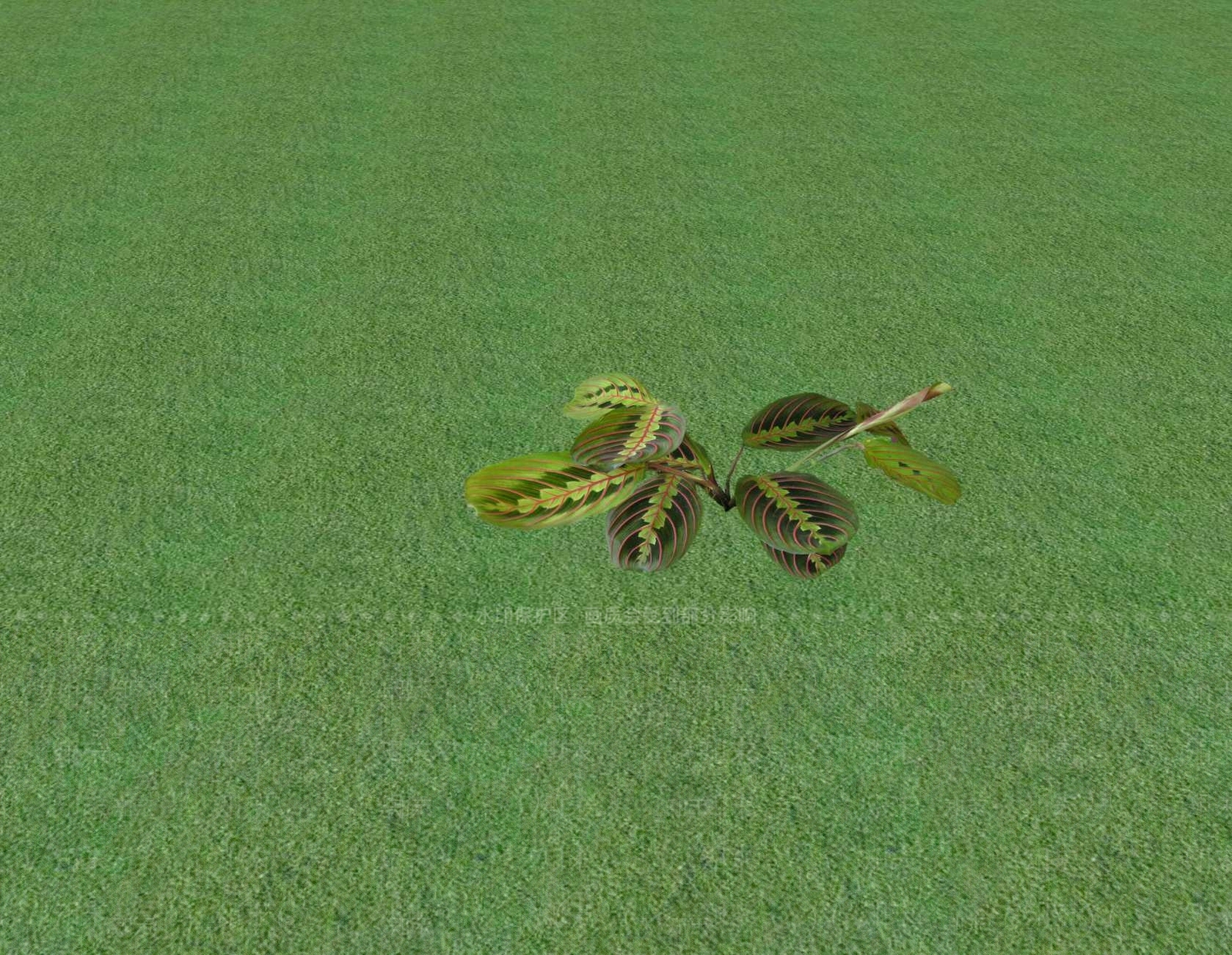 花草SU模型下载【ID:1201552943】