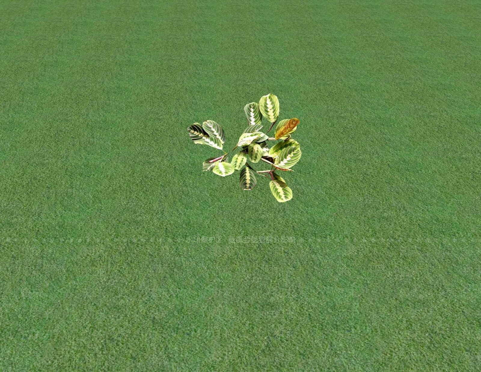 花草SU模型下载【ID:1201552925】