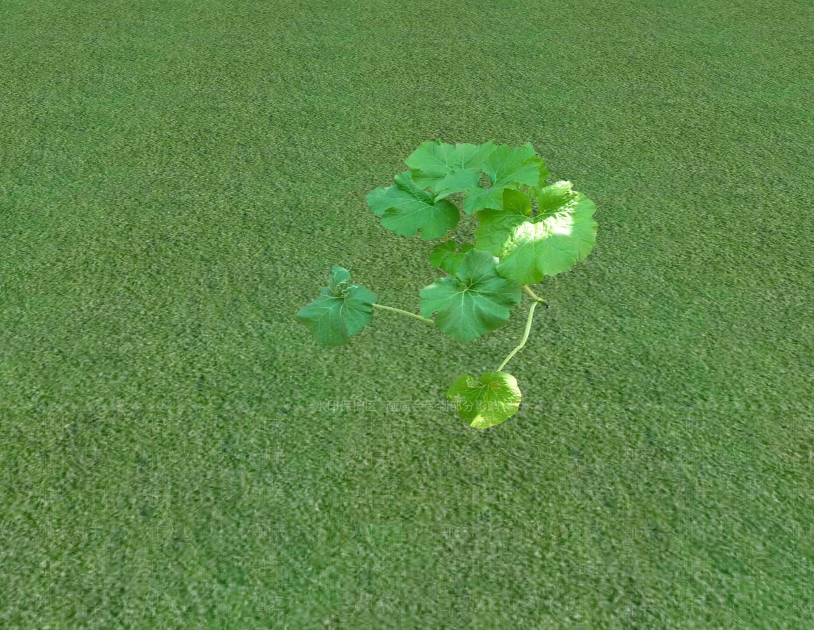 花草SU模型下载【ID:1201553013】