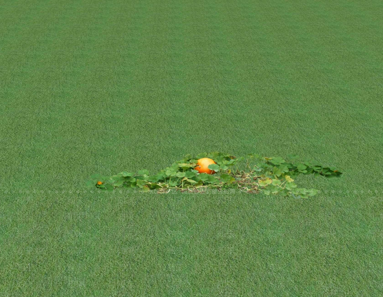 花草SU模型下载【ID:1201553064】