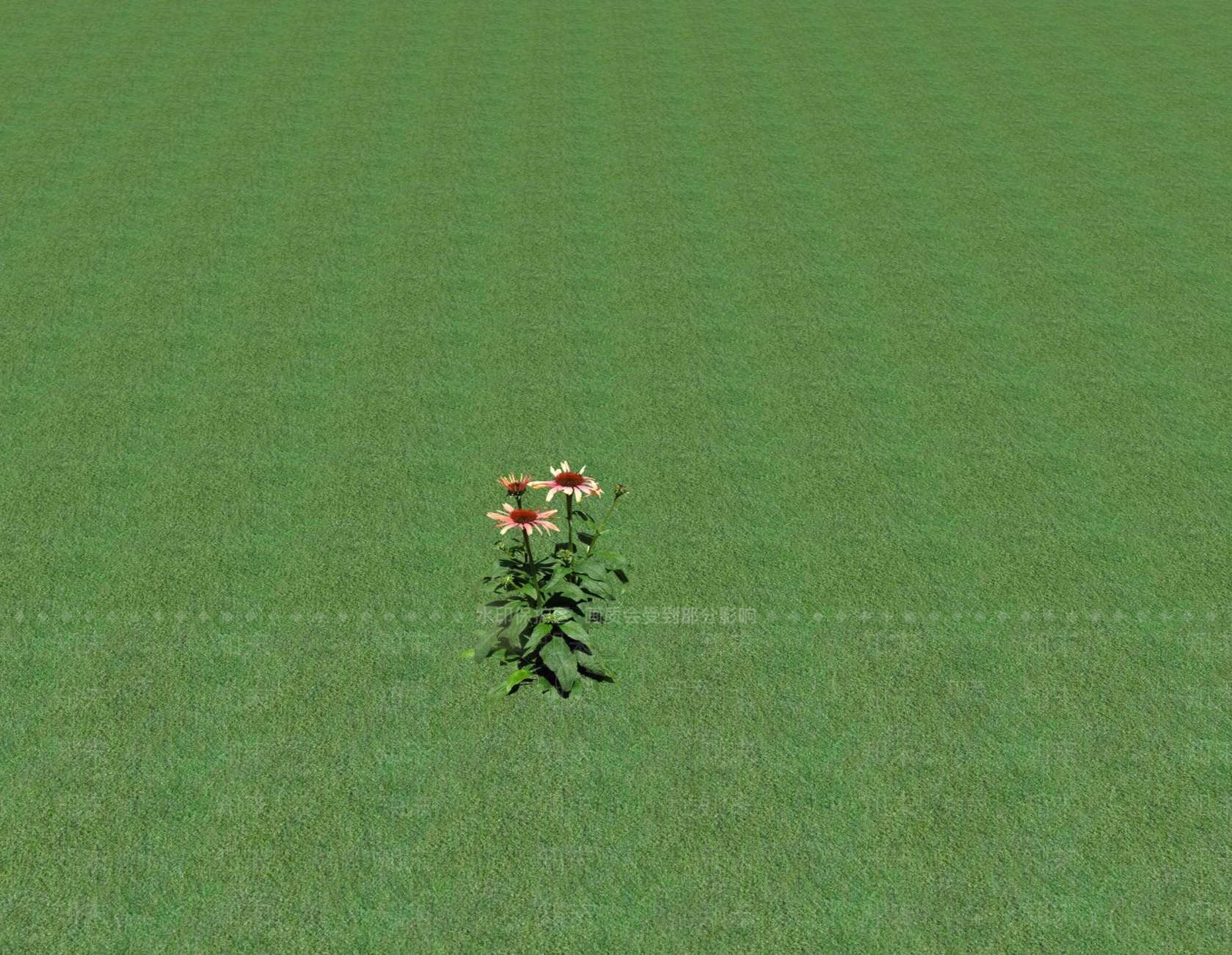 花草SU模型下载【ID:1201553172】