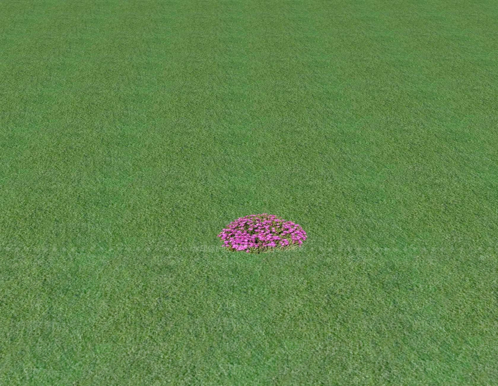 花草SU模型下载【ID:1201553159】