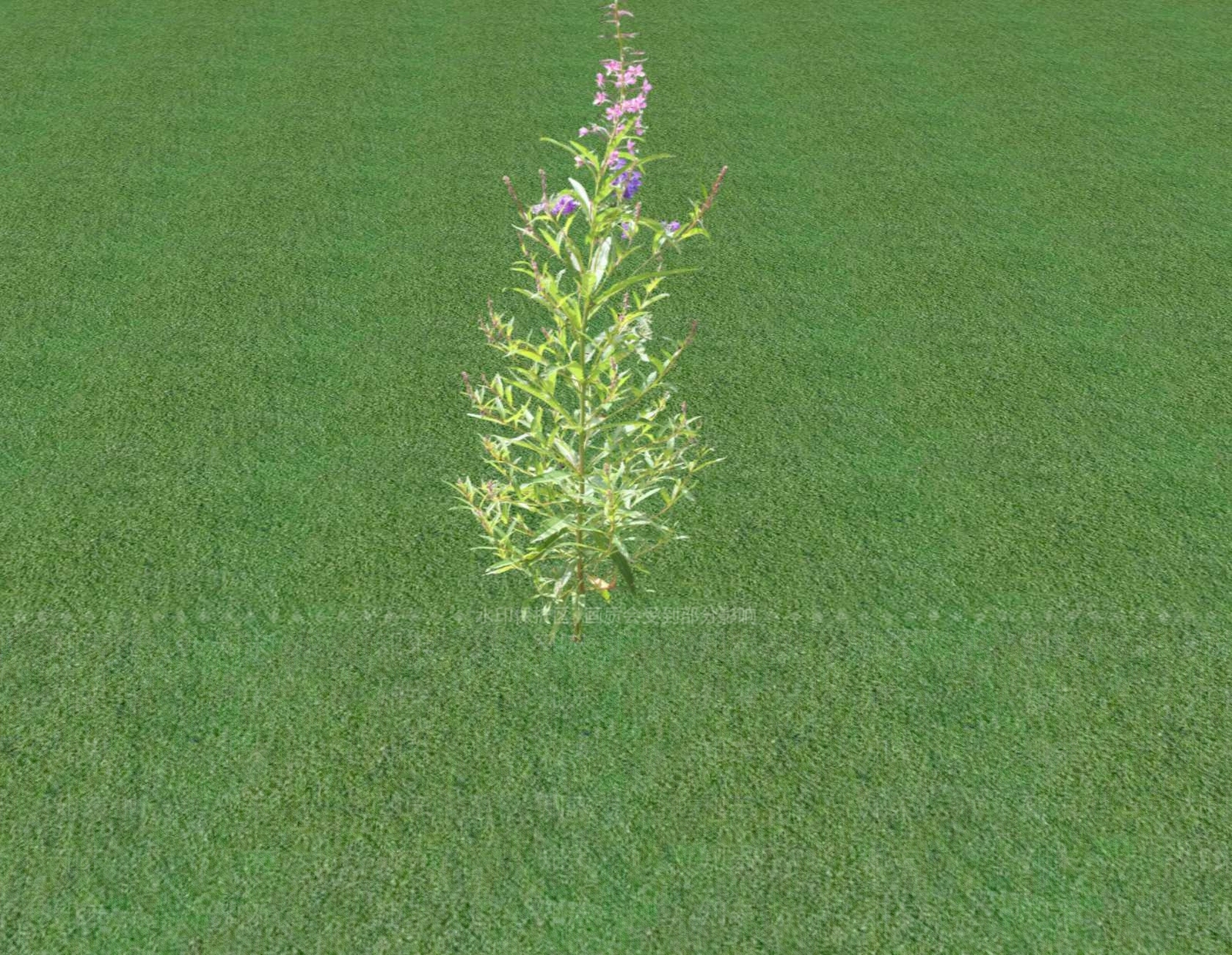 花草SU模型下载【ID:1201553293】