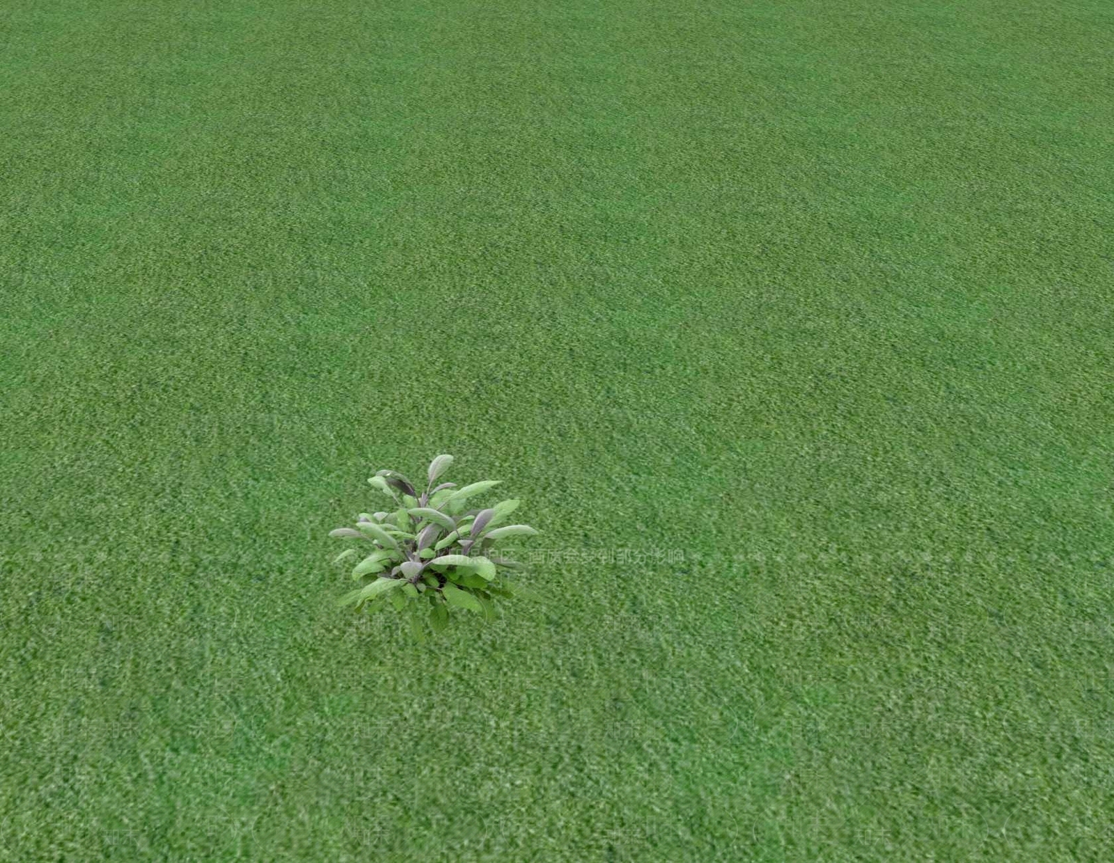 花草SU模型下载【ID:1201553326】