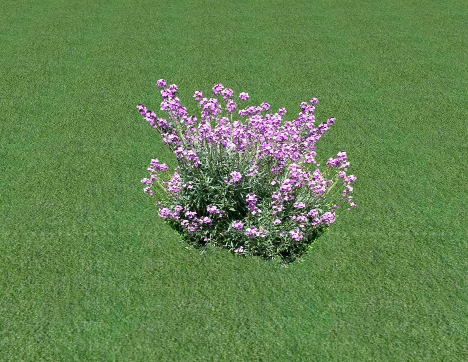 花草SU模型下载【ID:1201553476】