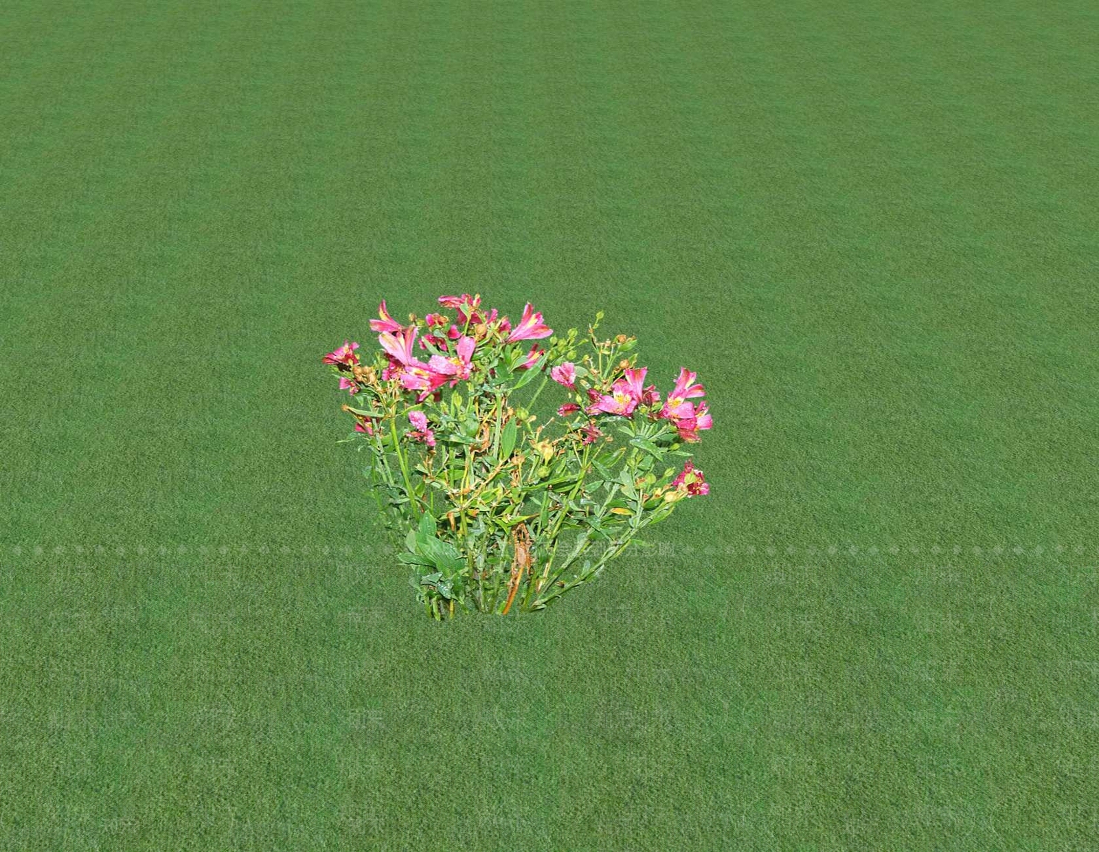 花草SU模型下载【ID:1201553530】