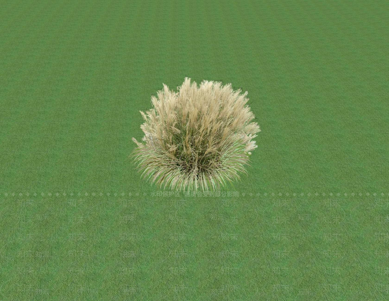 花草SU模型下载【ID:1201553533】