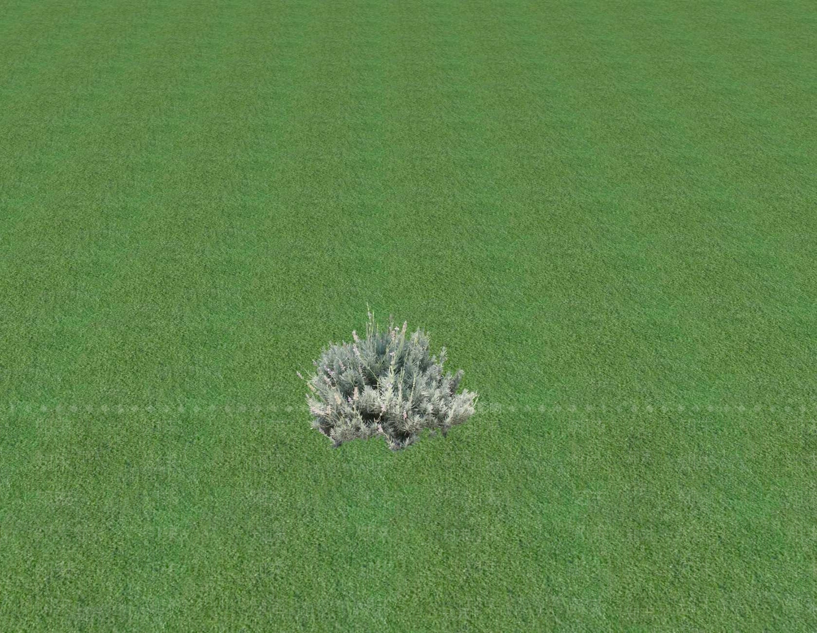 花草SU模型下载【ID:1201553602】