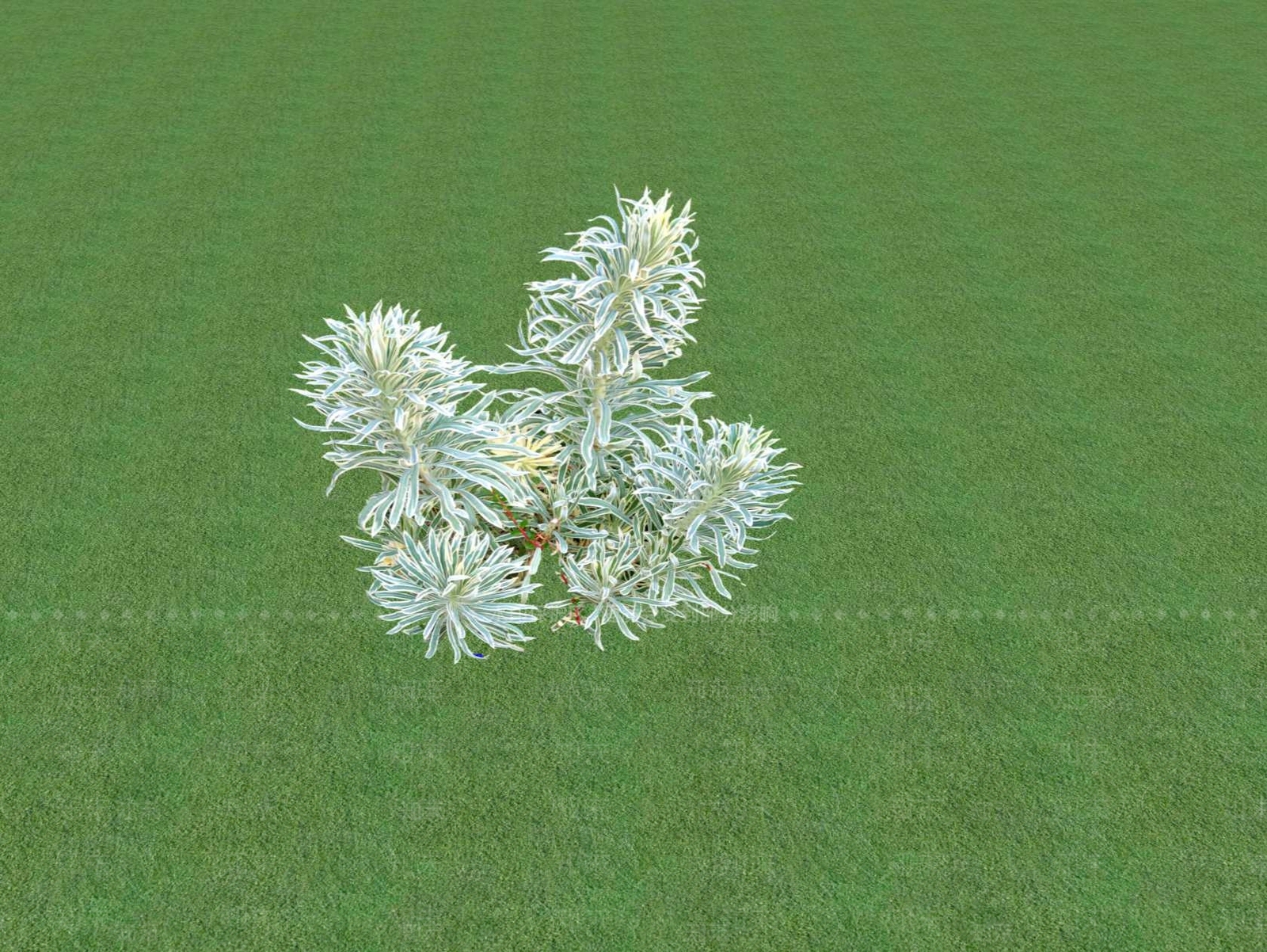 花草SU模型下载【ID:1201553800】