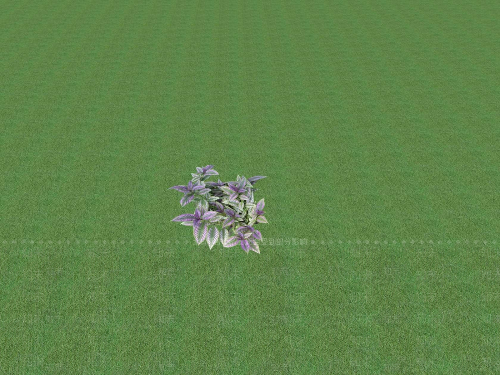 花草SU模型下载【ID:1201553922】