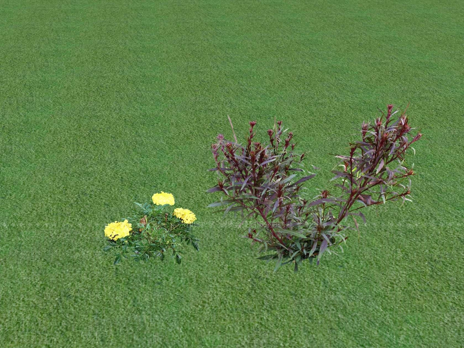 花草SU模型下载【ID:1201554214】