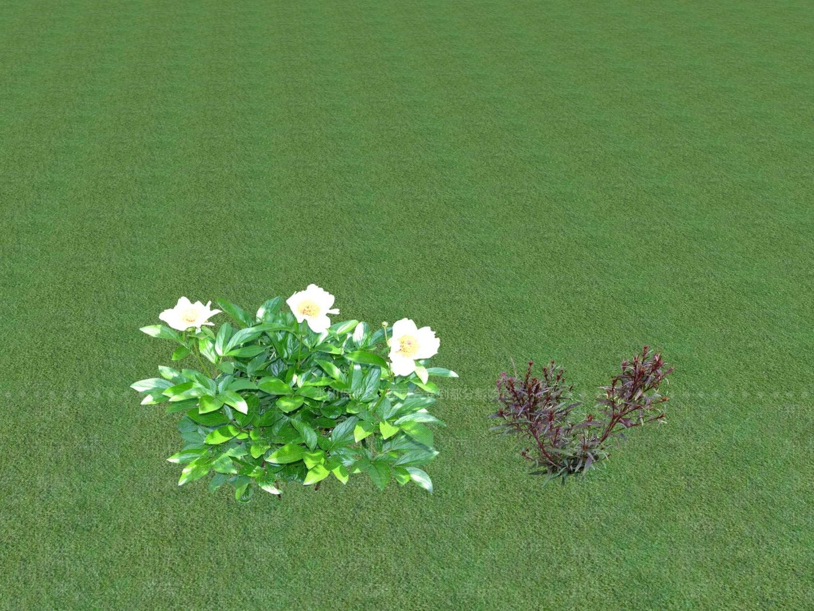 花草SU模型下载【ID:1201554227】